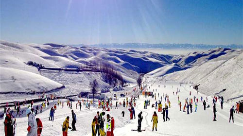 伊宁市阿勒玛滑雪场一日游【畅玩冰雪世界,赏
