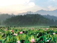 清漾毛氏文化村-江山