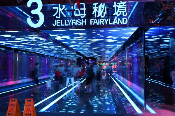 正佳极地海洋世界景点图片 15