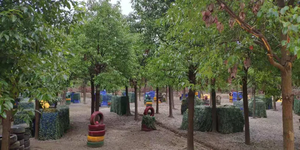 永安旅遊