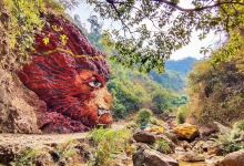 南海湾森林生态园景点图片