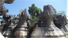 西部竹石林景区-长宁