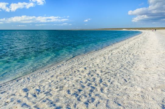 珀斯三日活动粉红湖自然之窗尖峰石阵贝壳沙滩鲨鱼湾中文可出海抓龙虾