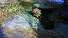 灯台架景区-舞钢-C-IMAGE