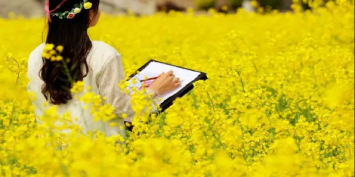 紫海芳庭熏衣草莊園