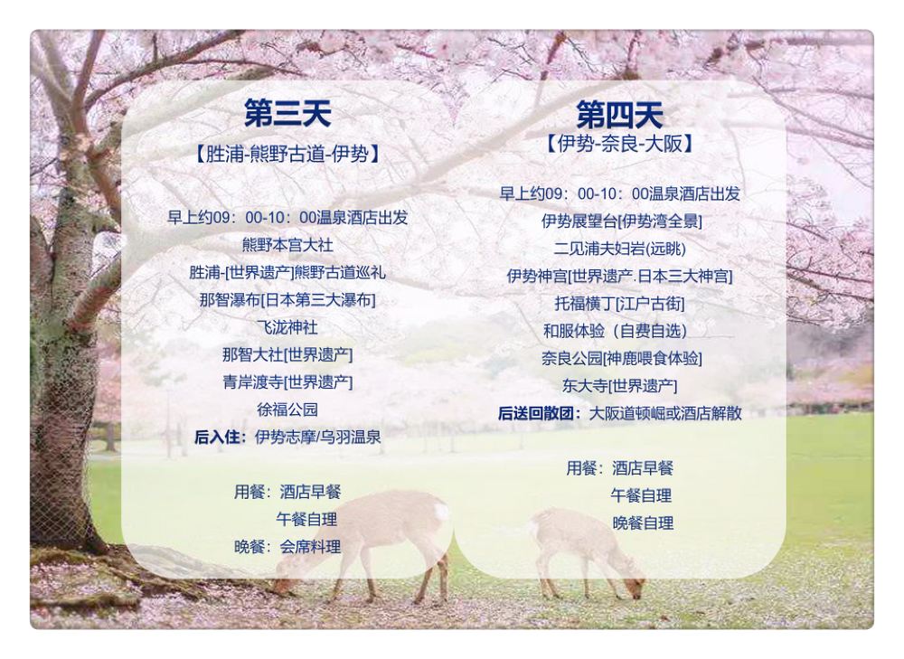 日本京都府白滨町和歌山城 千迭敷 熊野古道 奈良公园 伊势神宫温泉四日游 大阪接送优质小团 线路推荐 携程玩乐 日本京都府白滨町和歌山城 千迭敷 熊野古道 奈良公园 伊势神宫温泉四日游 大阪接送优质小团 线路推荐 携程玩乐