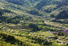 相思山度假区景点图片