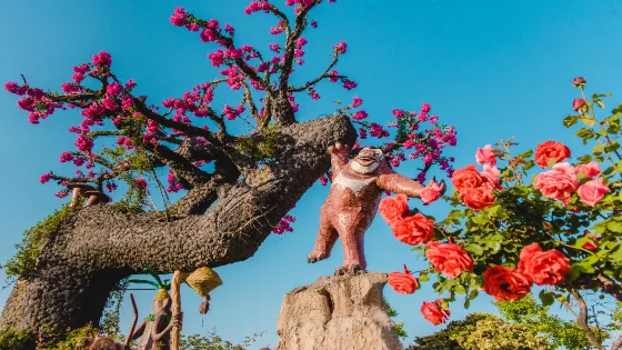 花都藝博園
