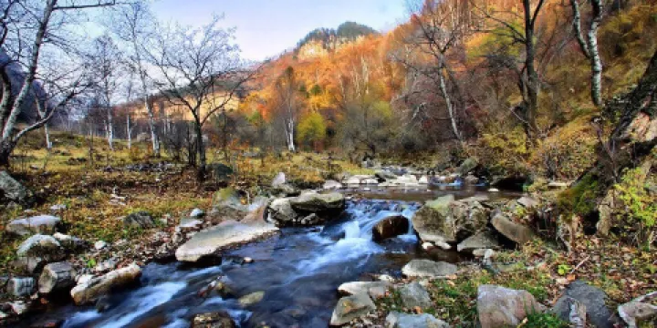 神應王生態旅遊度假景區