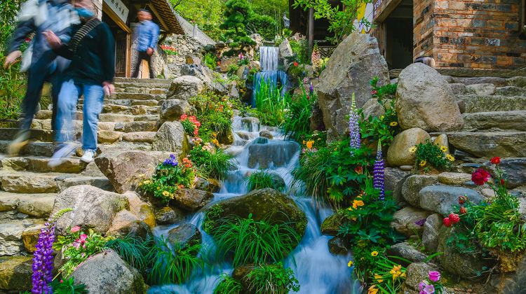 5-Day 5-day 4-night · Private Tour · Huangshan Scenic Area + Hongcun Village + Xidi + Wuyuan Huangling
