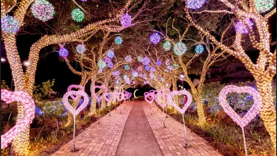 香草樂園
