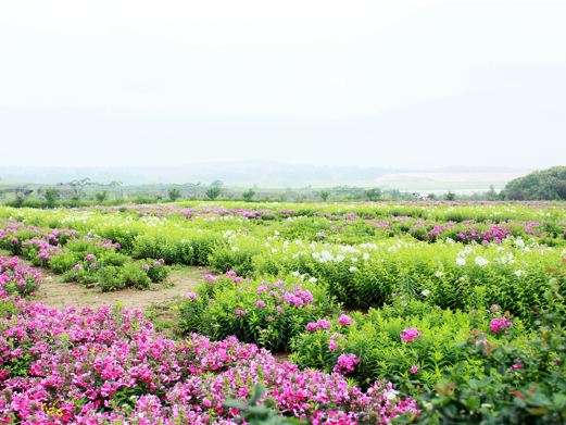 花仙子风景区