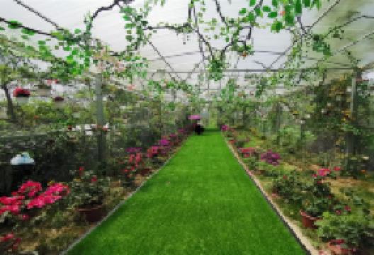 金海雪山四季花谷景点图片