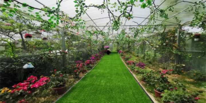 金海雪山·四季花谷