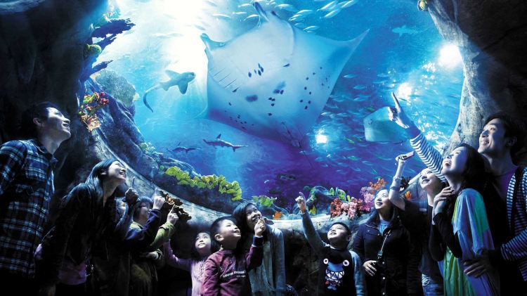 Ocean Park Hong Kong