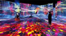 EPSON teamLab 无界美术馆-上海