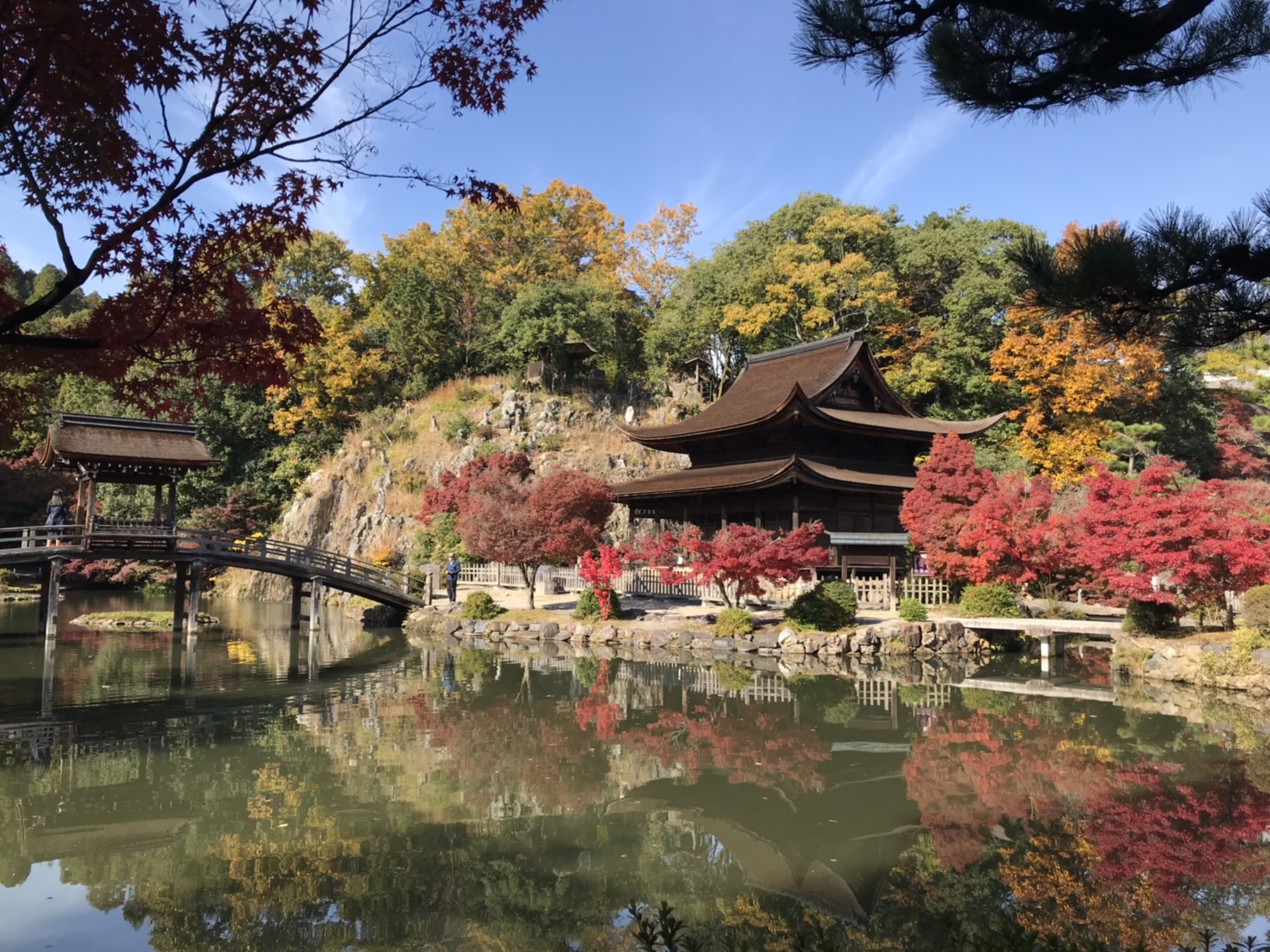 日本愛知縣奇幻香嵐溪夜景 小原四季桜 永保寺古銀杏 奧特萊斯一日遊 楓之物語 一人成團 Trip Com