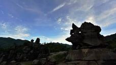 西部竹石林景区-长宁