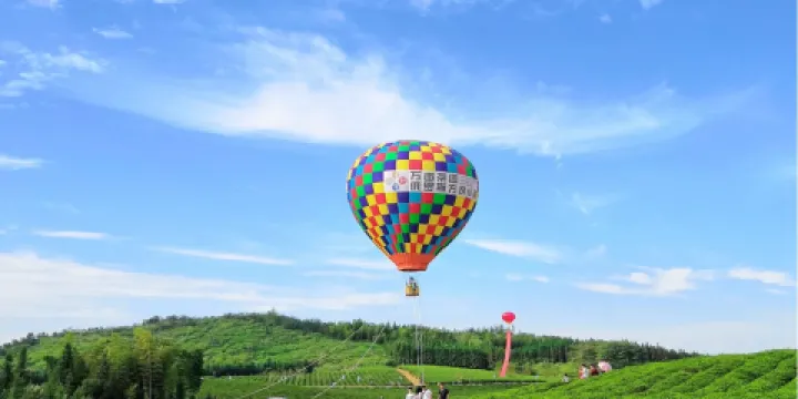 萬畝茶園·茶園裡夢想小鎮