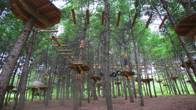 【疯狂原始人乐园树桥探险】张家口多乐美地山地运动