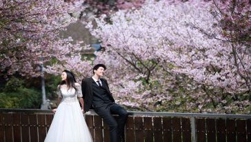 杭州藏爱婚纱_杭州婚纱摄影(2)