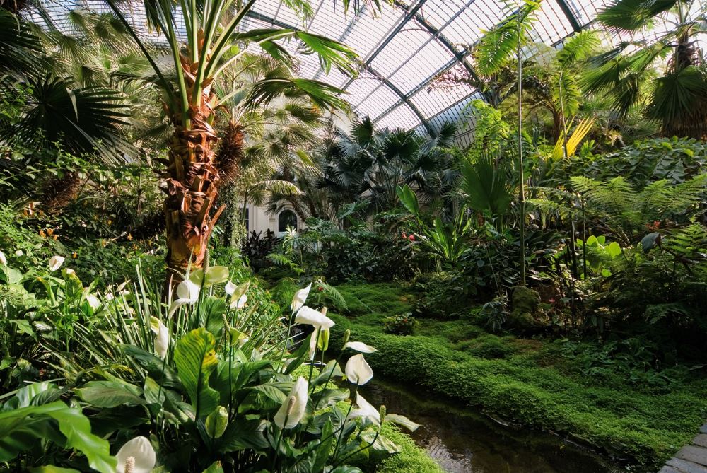 德国法兰克福包车一日游【奔驰8座 中文司导