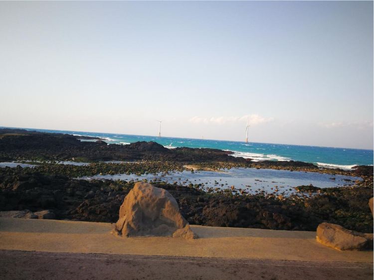 Woljeongri Beach (Known for picturesque scenery and café culture)