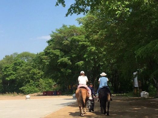 鹿鸣山庄