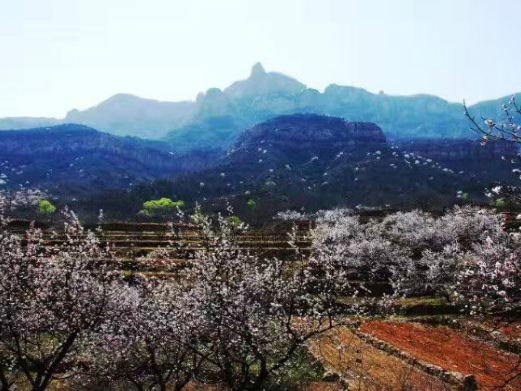 佛光山