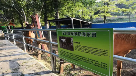 童欣萌寵樂園