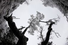 清远金子山原生态旅游风景区-连山