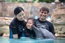 海豚园-新加坡