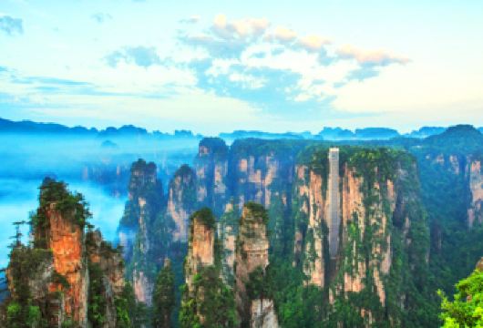 张家界国家森林公园一日游【一价全含+可选8/16人团/演出】【[品质专线]全新升级深度游，高分好评，含接送站，打卡核心景点——袁家界、百龙电梯、十里画廊、天子山。】