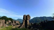 西部竹石林景区-长宁