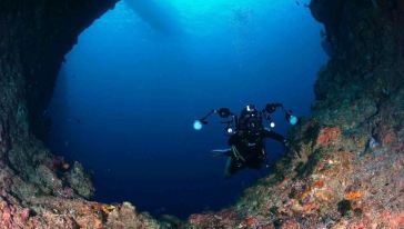 科罗尔岛【PADI专业授权】帕劳开放水域潜水