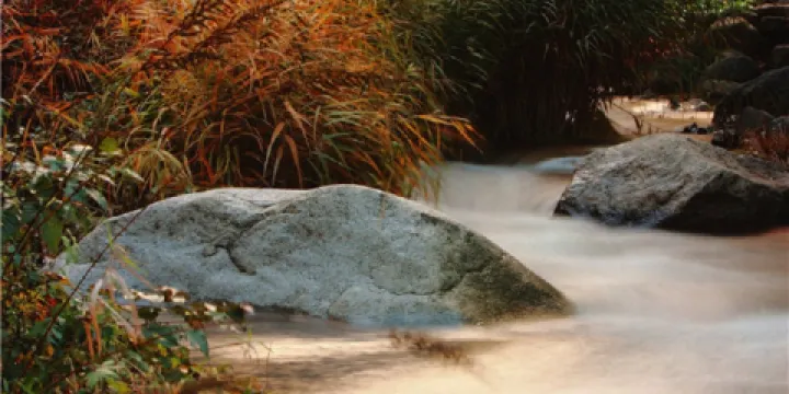雲岫谷遊獵自然風景區