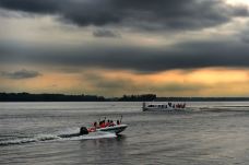 宝应湖国家湿地公园-宝应-C-IMAGE