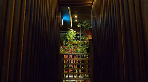 爱知县名站涮火锅 個室しゃぶしゃぶ希家名古屋店 餐厅美食套餐线路推荐 携程玩乐 爱知县名站涮火锅 個室しゃぶしゃぶ希家名古屋店 餐厅美食套餐线路推荐 携程玩乐