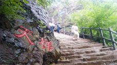 灯台架景区-舞钢-C-IMAGE