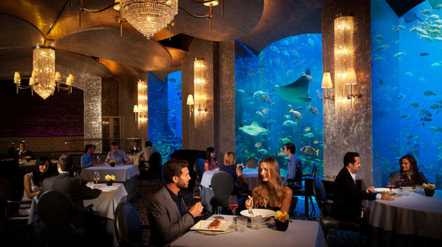 浪漫海底餐厅 皇途推荐高端美食【绝美环境 海鲜菜品 观赏海底生物】