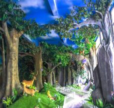 牛姆林生态旅游区-永春-C-IMAGE