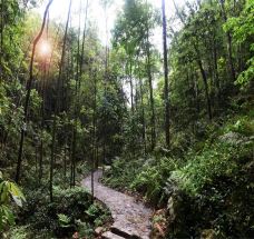 牛姆林生态旅游区-永春-C-IMAGE