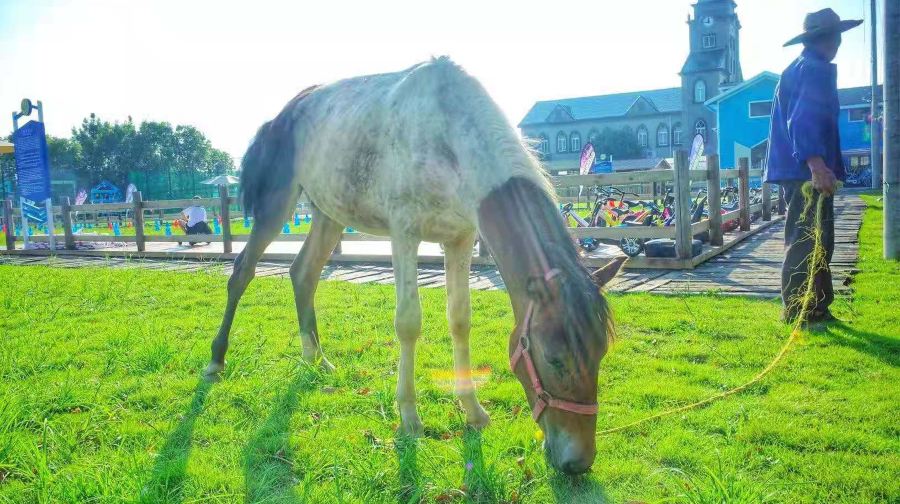 海之湾山海乐园