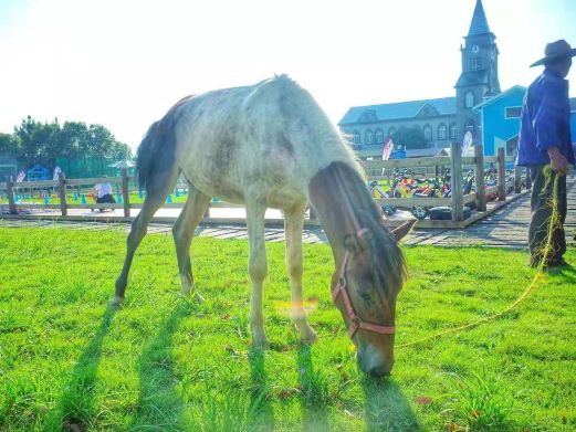 海之湾户外大本营