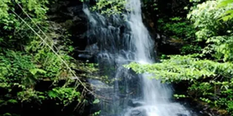 馬尾水生態旅遊風景區