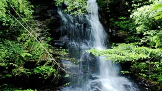 馬尾水生態旅遊風景區