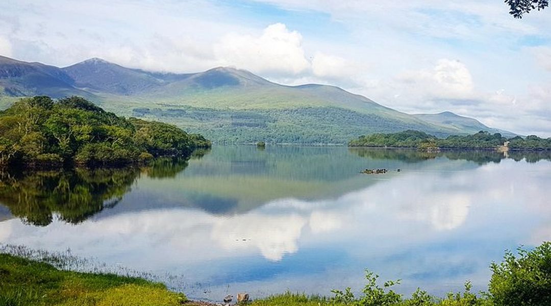 Jaunting Car Tour To Ross Castle From Killarney Trip Com