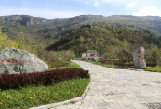 紫柏山国家森林公园景点图片