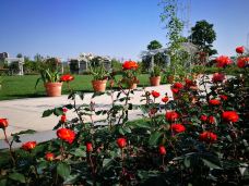 宁波植物园-宁波-C-IMAGE