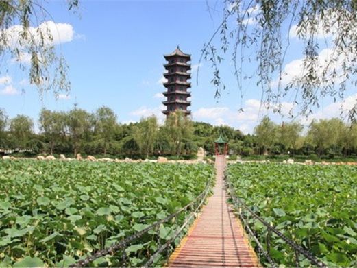 沈阳三农博览园